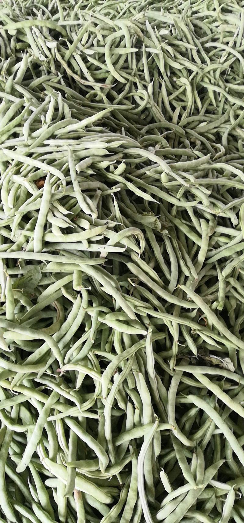 抚宁下庄四季豆，豇豆品质好质量优产地直销。
