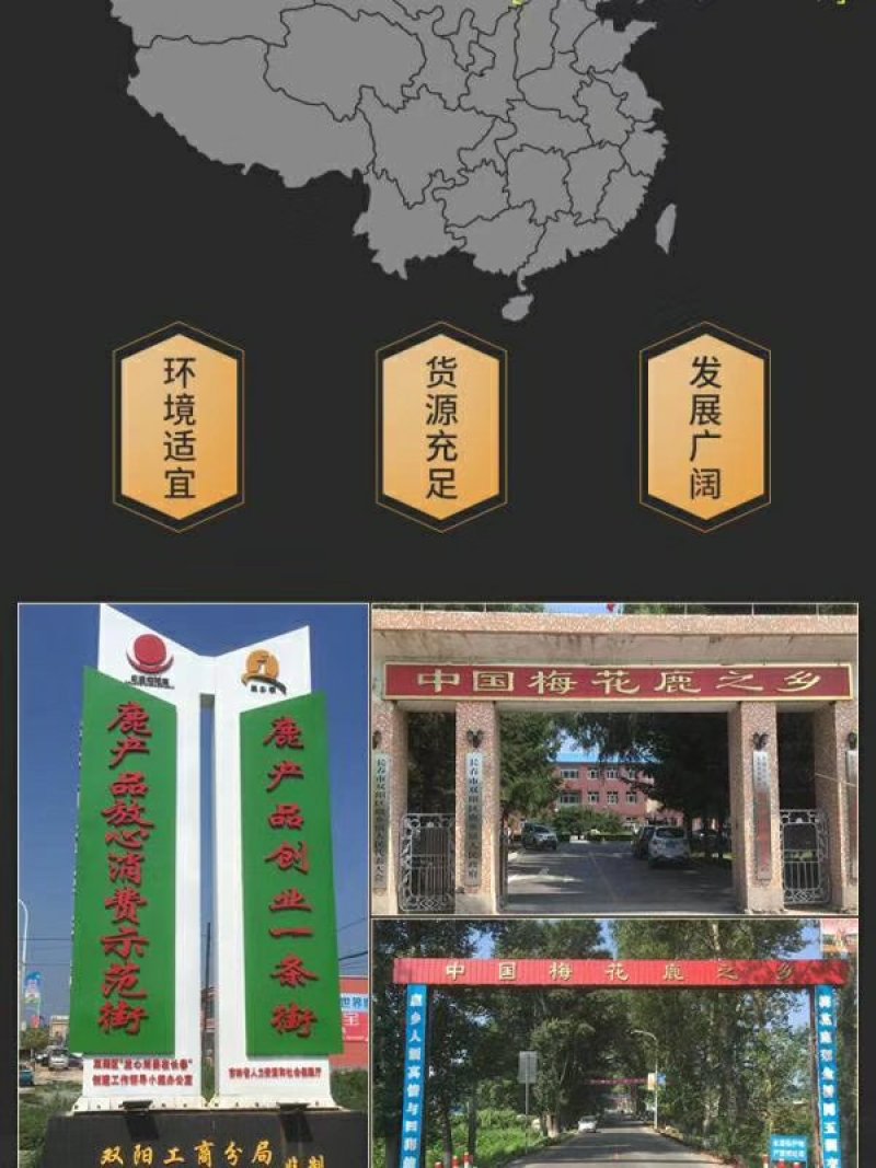 东北梅花鹿心丸鹿场直发鹿心膏心脏血熬制好膏正品一瓶30粒