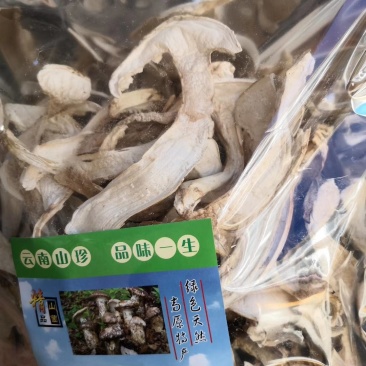 香格里拉松茸干片袋装一件代发批发包邮
