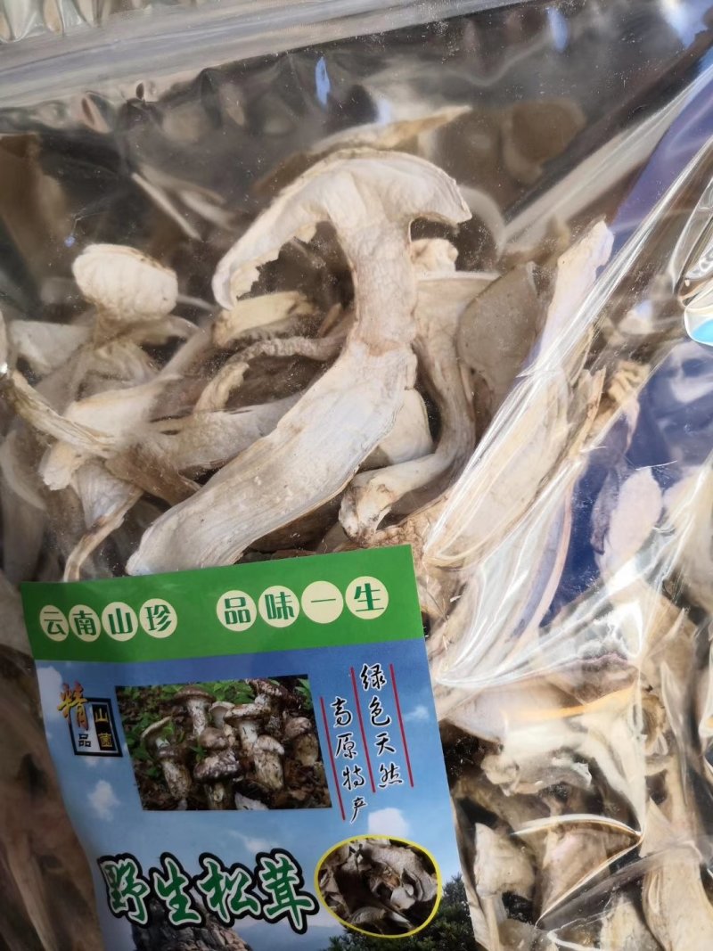 香格里拉松茸干片袋装一件代发批发包邮