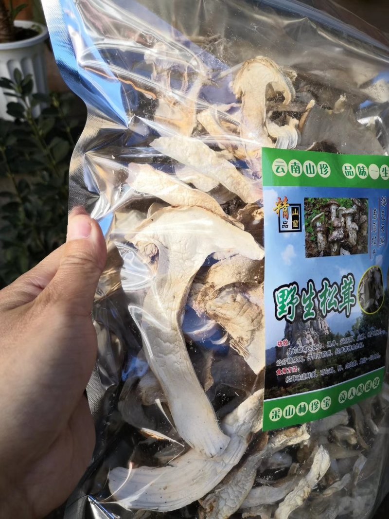 香格里拉松茸干片袋装一件代发批发包邮