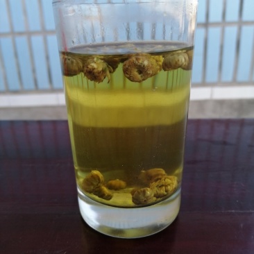杭白菊胎菊花茶