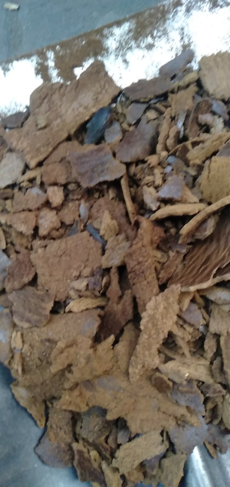 纯油菜籽饼(无霉变，无掺杂，无结块)