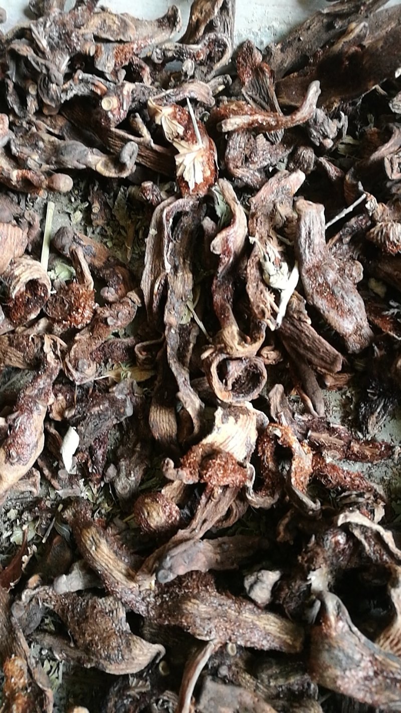 贵州骨碎补爬岩姜毛姜脱毛个子货大量批发含量足