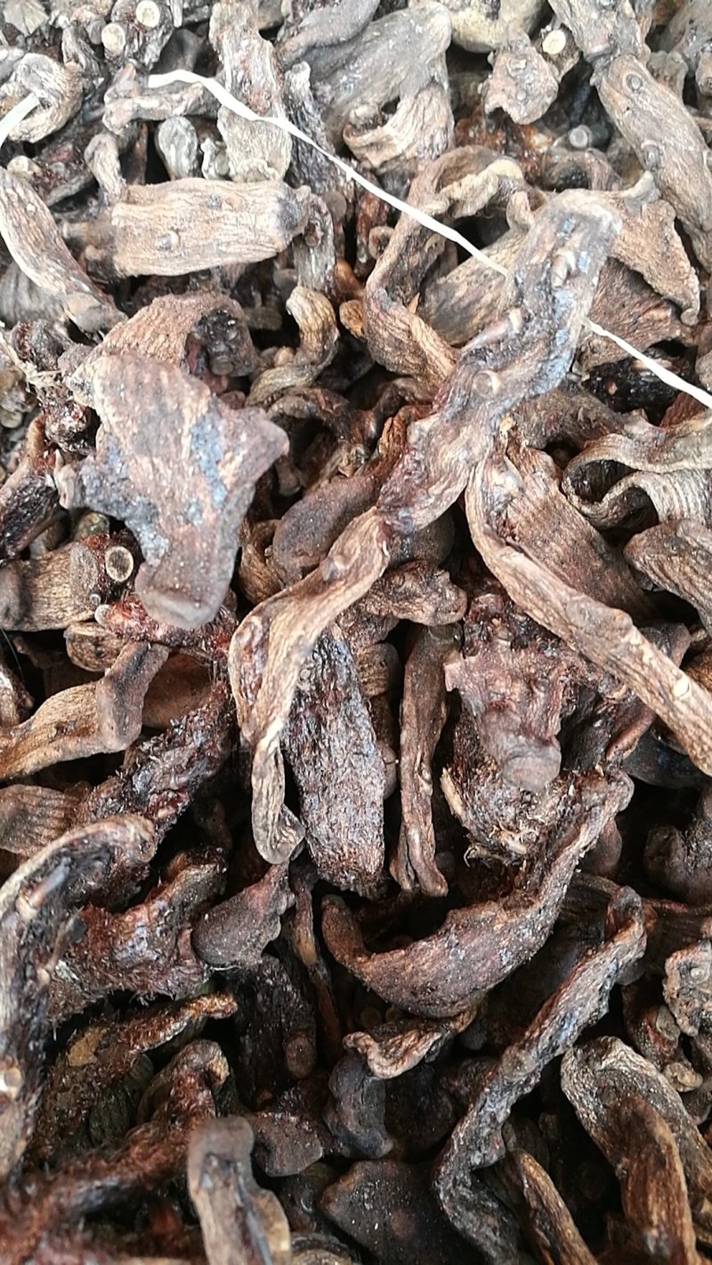 贵州骨碎补爬岩姜毛姜脱毛个子货大量批发含量足