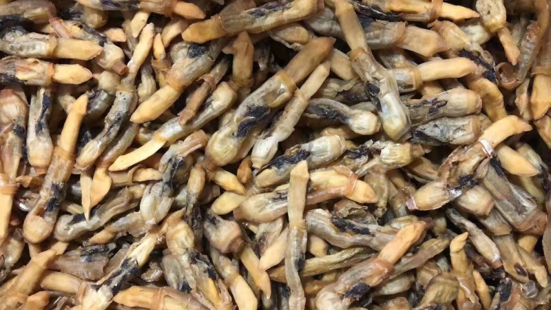 【有好货】新鲜蛏子单冻蛏子肉蛏子干