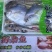 【有好货】海杂鱼组合海杂鱼海杂鱼组合