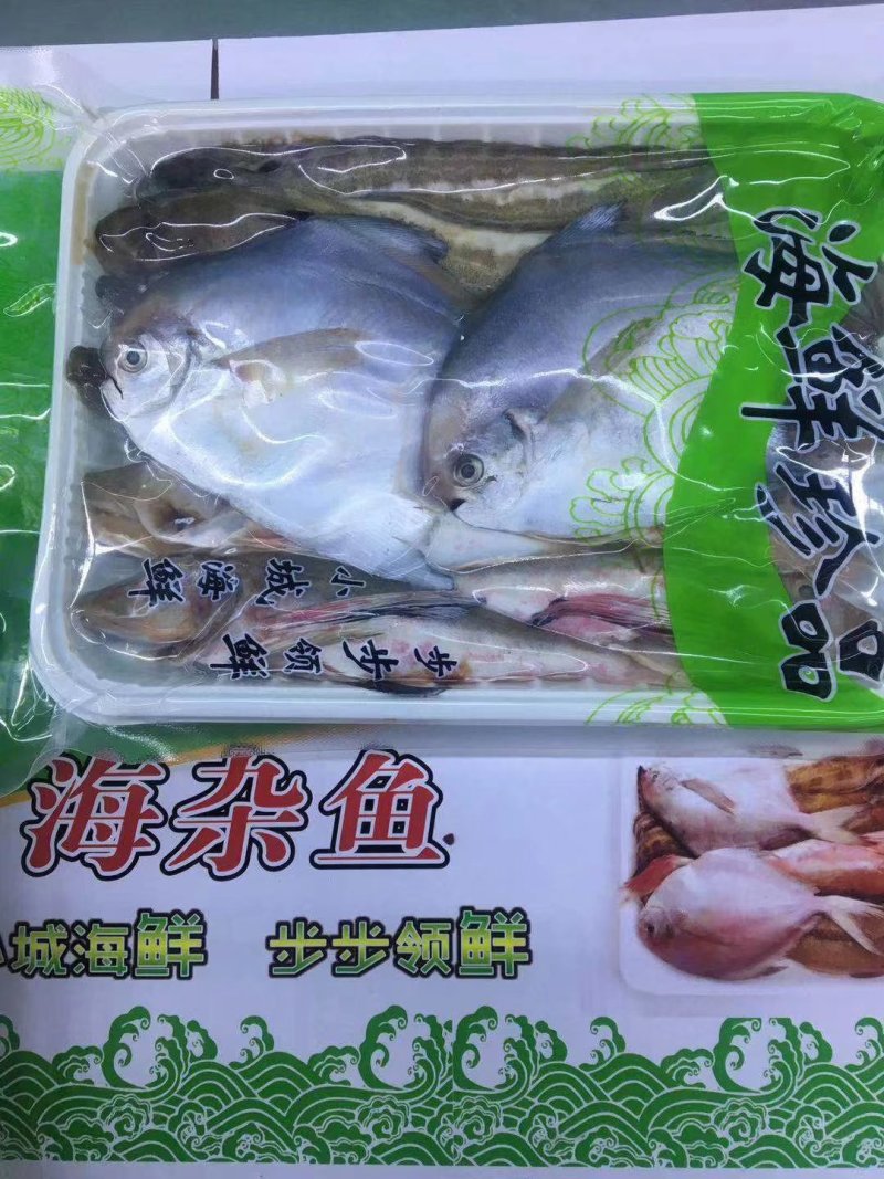【有好货】海杂鱼组合海杂鱼海杂鱼组合