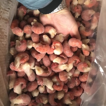 龙虾尾