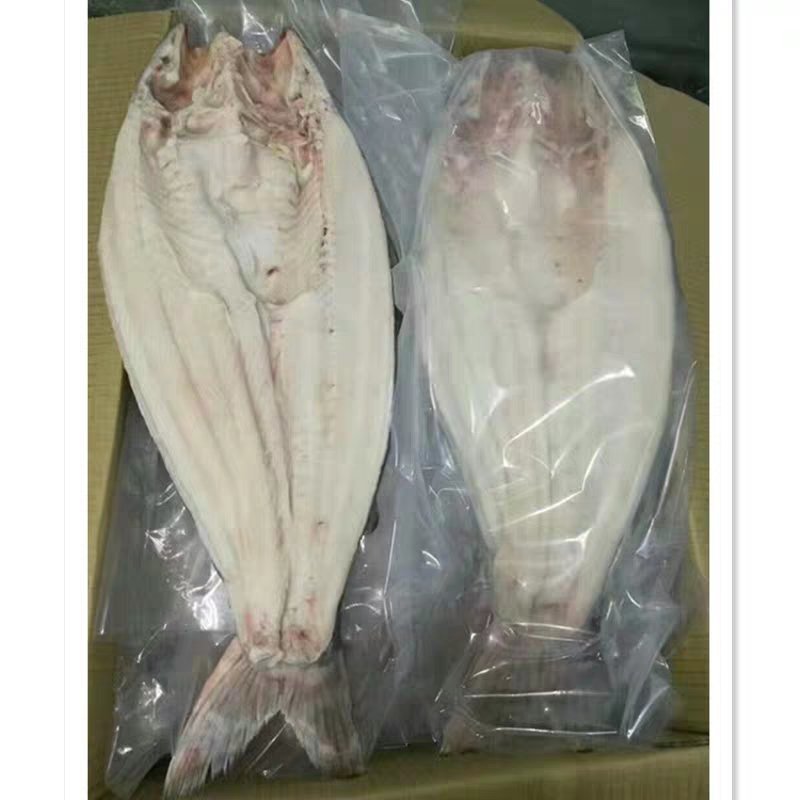 越南开背巴沙鱼龙利鱼湄公鱼2斤一条新鲜冷冻烤鱼专用海鲜