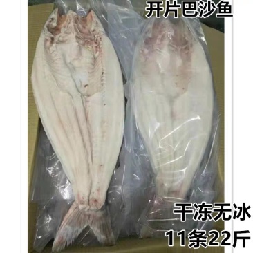 越南开背巴沙鱼龙利鱼湄公鱼2斤一条新鲜冷冻烤鱼专用海鲜