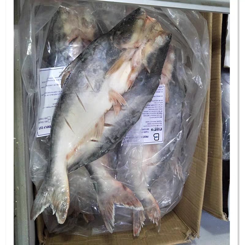 越南开背巴沙鱼龙利鱼湄公鱼2斤一条新鲜冷冻烤鱼专用海鲜