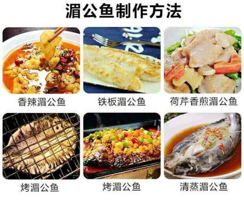 越南开背巴沙鱼龙利鱼湄公鱼2斤一条新鲜冷冻烤鱼专用海鲜