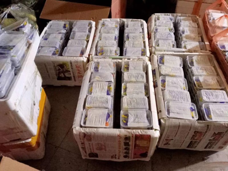 精品三色堇基地直发量大从优品质保障可长期合作诚信经营