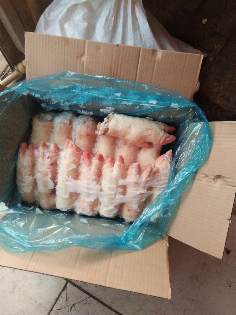 猪蹄