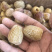 无核金丝干蜜枣硬蜜小箱包装沧州特产五斤包邮