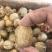 无核金丝干蜜枣硬蜜小箱包装沧州特产五斤包邮