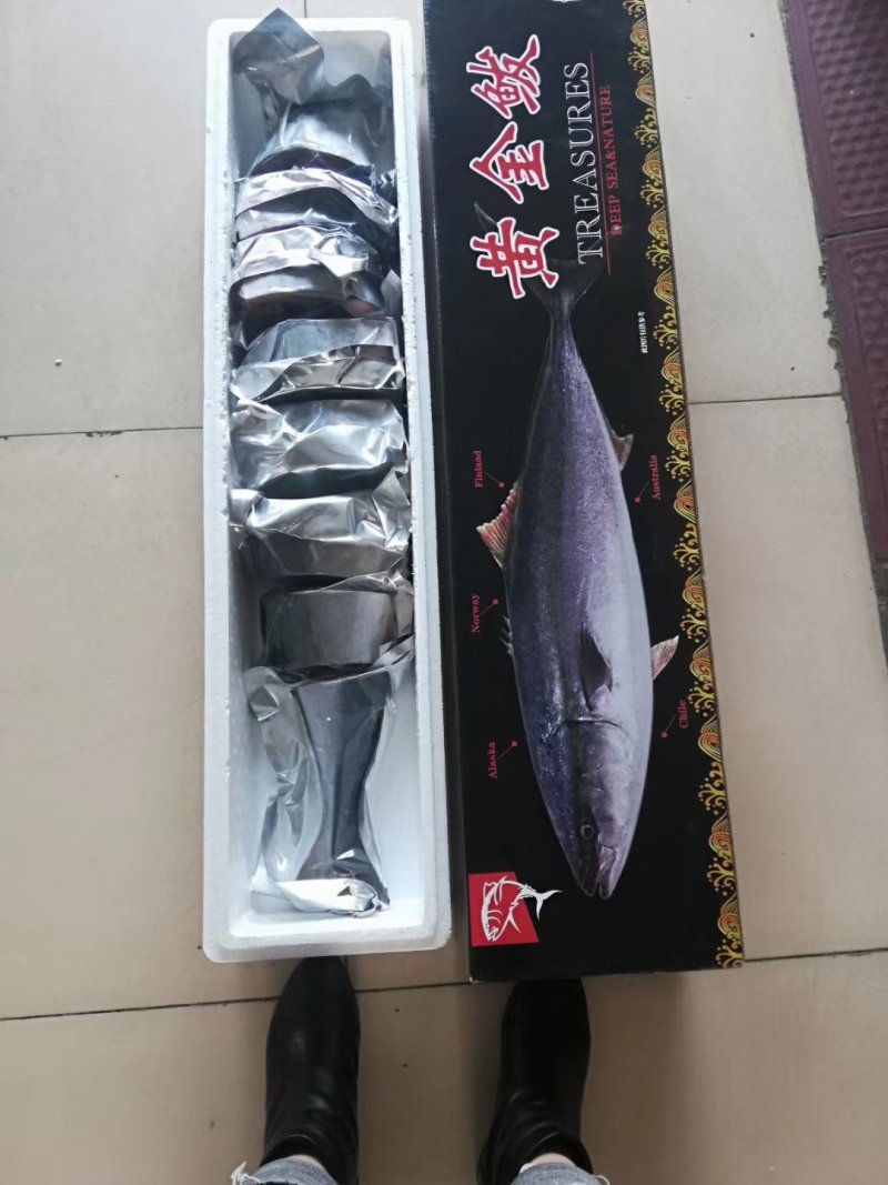 黄金鲅