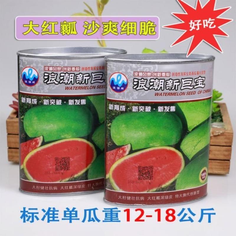 台湾特大新红宝西瓜种子绿皮西瓜种超甜早宝早熟新巨宝赣新红