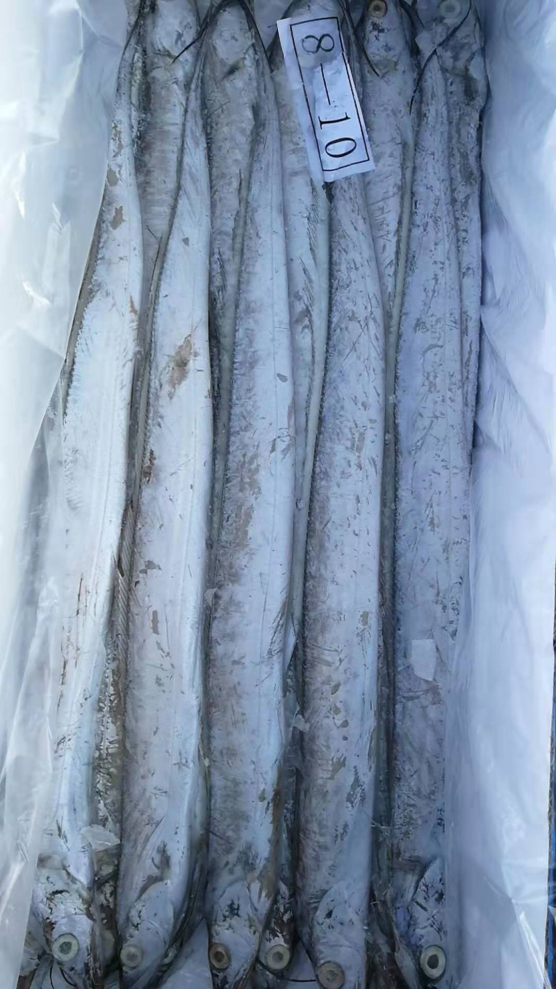 品质好红盒礼盒刀鱼