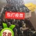 大种麻鸭苗，包疫苗运输成活
