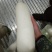 萝卜精品白萝卜条形好，打包散装，有工人打包