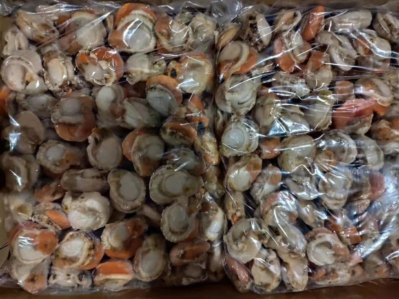 原汁北长岛扇贝肉20-40,40-60卵大1箱10斤净重