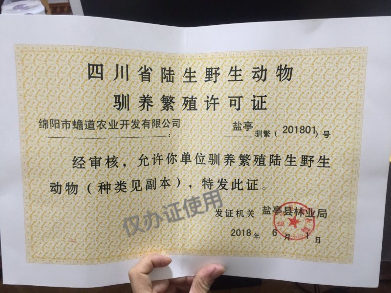 中华大蟾蜍招收学徒办理引种证