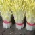 2019年新产加拿大进口麻豌豆，芽苗菜专用，鸽子喂料。