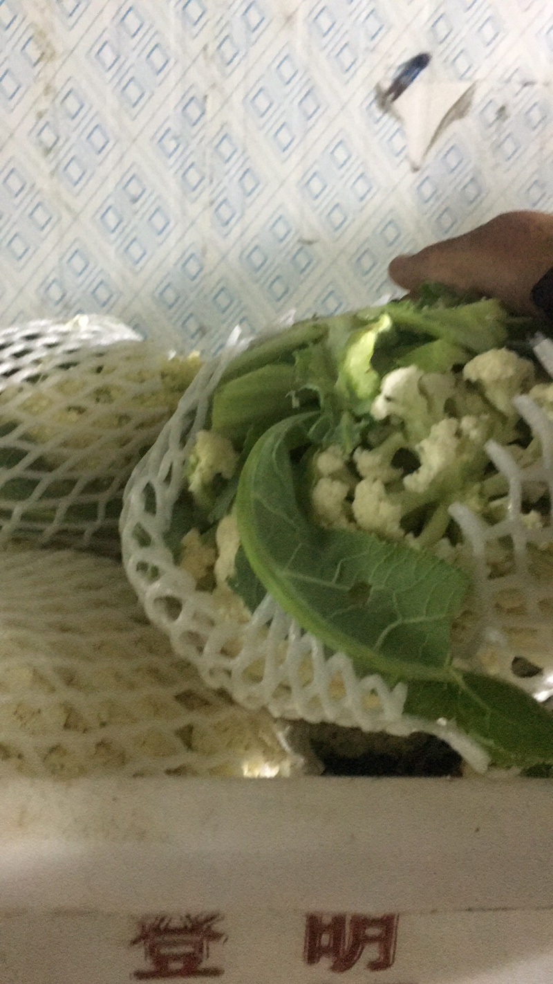 瑞安市登明蔬菜专业合作社