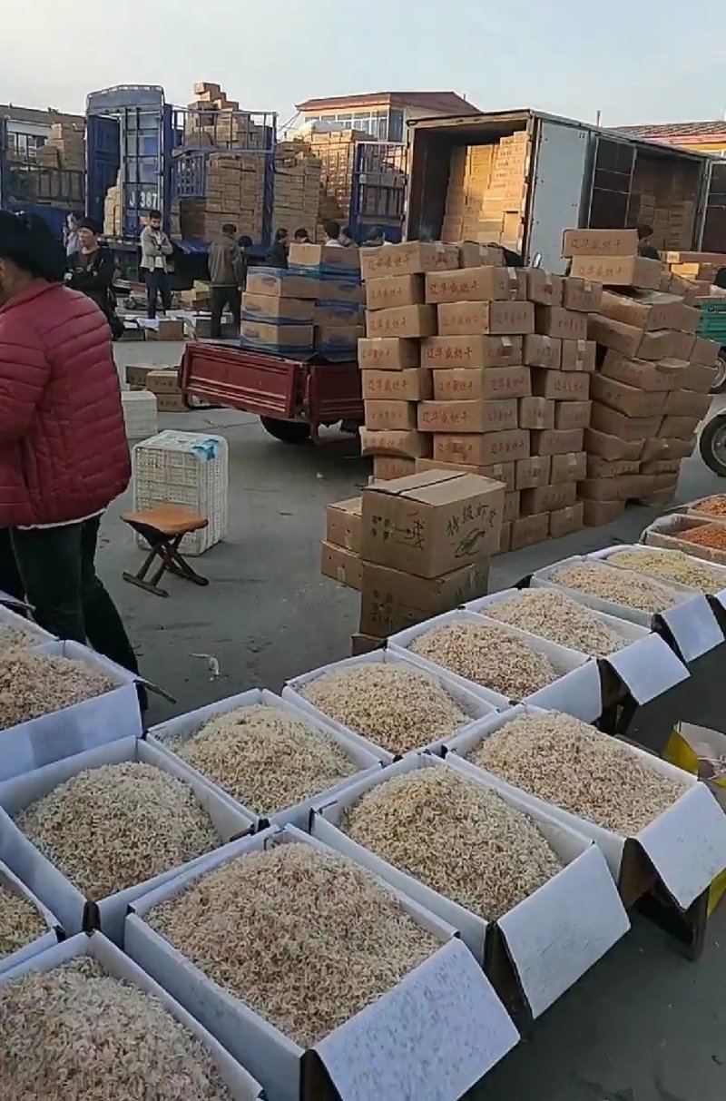 虾皮，淡干虾皮，咸虾皮，量大优惠批发价不包邮