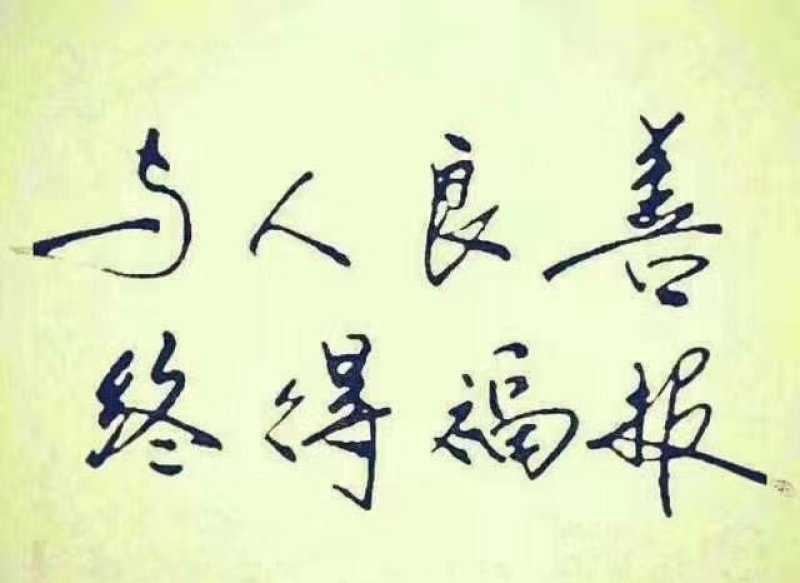 秋刀鱼2号高品质质量超级好