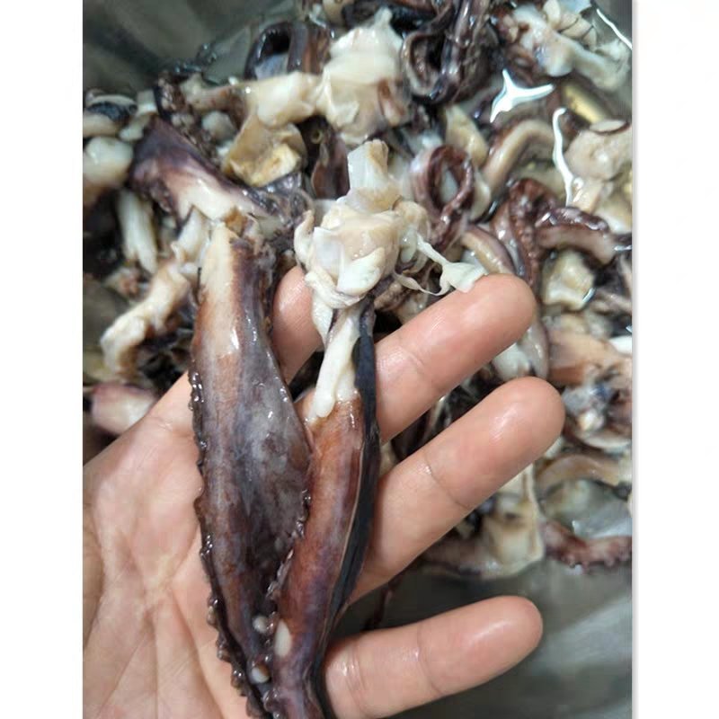 冷冻鱿鱼须秘鲁单腿蹦鱿鱼脚串商用铁板烧烤食材16斤海鲜