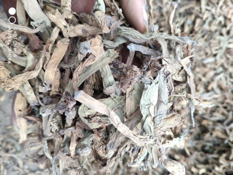 芫花三服帖专用三样都有货不满意可以退换货