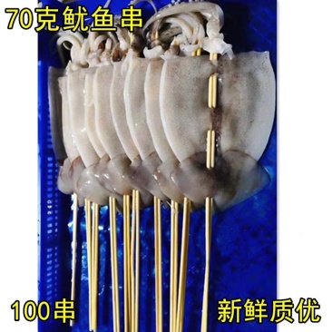 冷冻新鱿鱼板串70g*100串烧烤铁板鱿鱼块海鲜小串商用