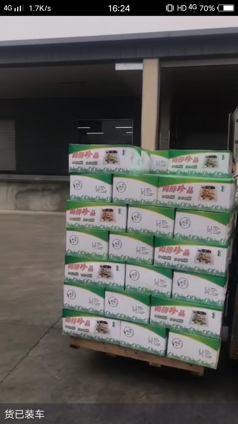 【有好货】海杂鱼组合海杂鱼海杂鱼组合