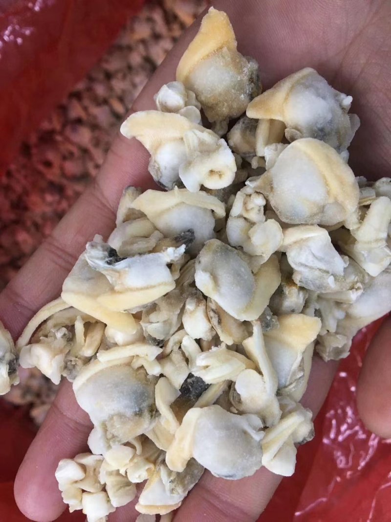 花蚬子肉沙蚬子肉花蚬子肉
