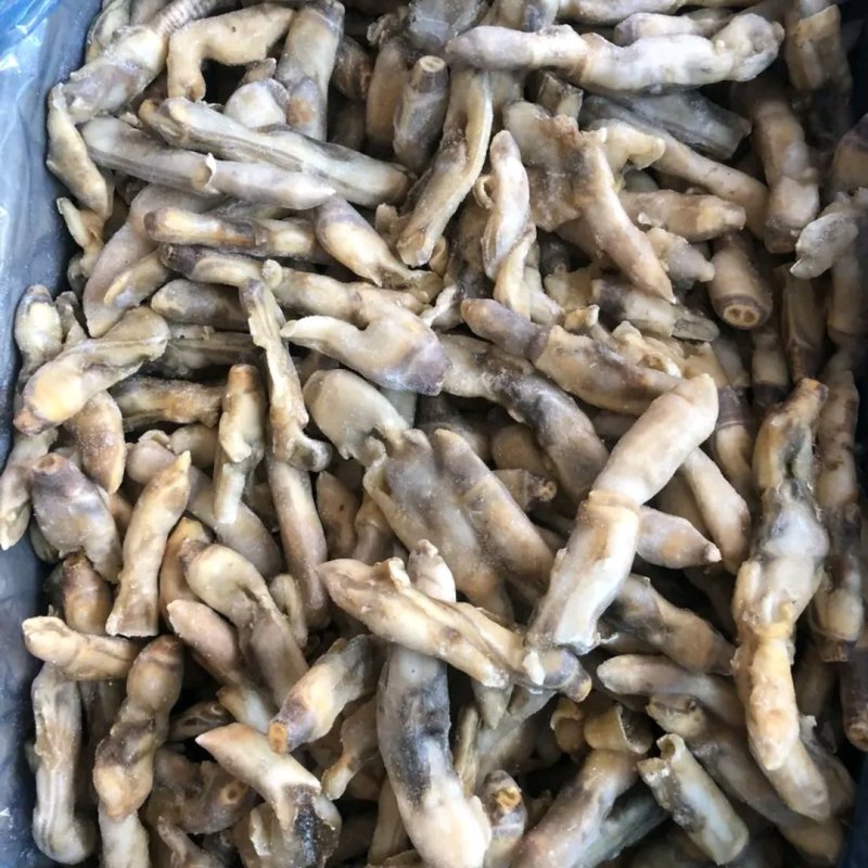 【有好货】新鲜蛏子单冻蛏子肉蛏子干