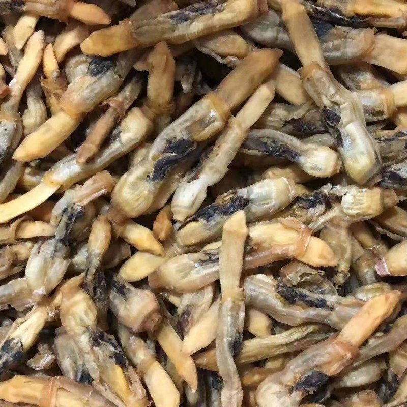 【有好货】新鲜蛏子单冻蛏子肉蛏子干