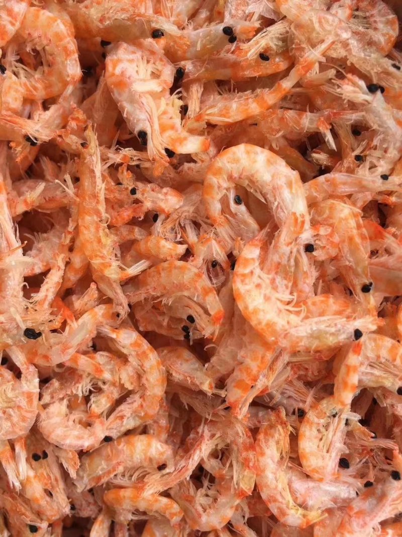 磷虾磷虾南极磷虾磷虾磷虾磷虾
