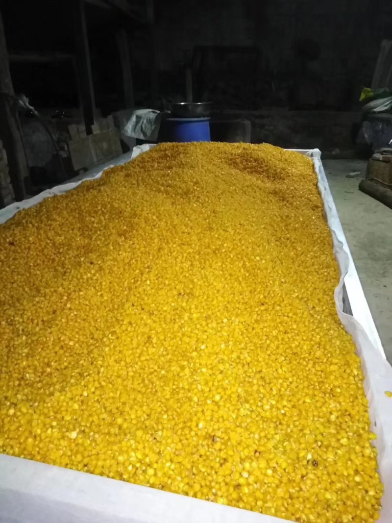 药酒白酒玉米