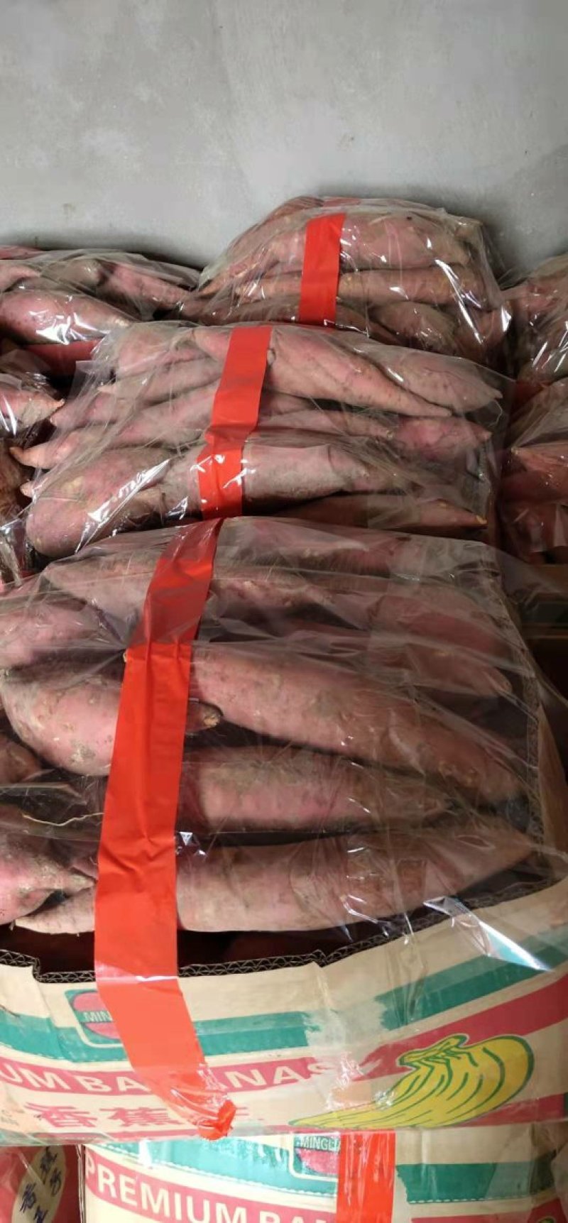 西瓜红【开封万隆红薯高质量高标准大量供应】