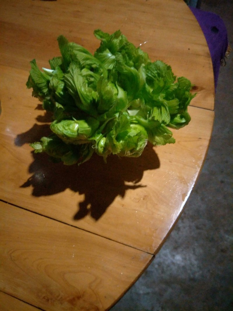 儿菜