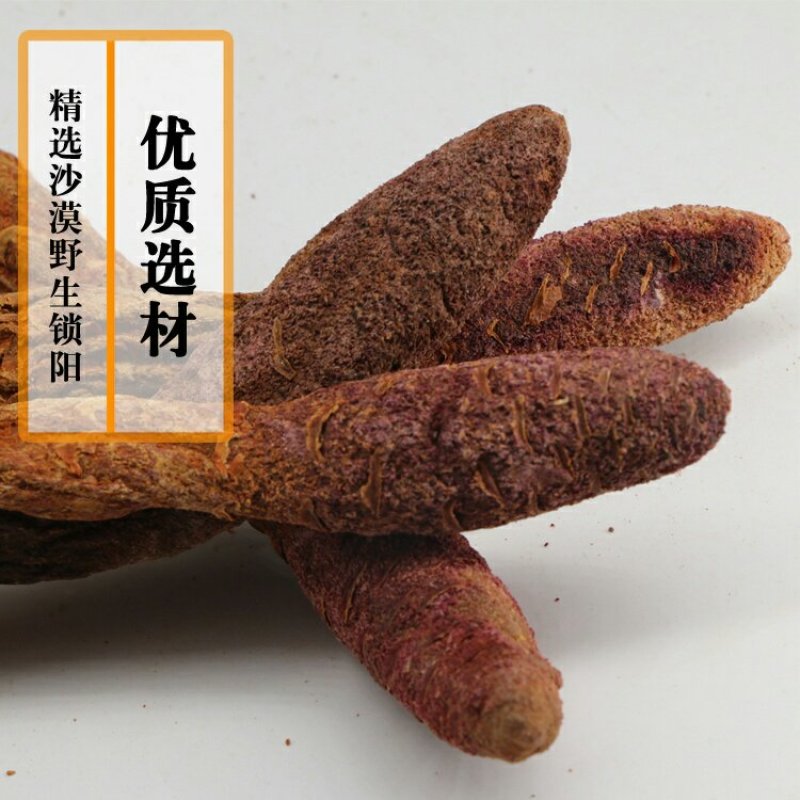 【牛商推荐】锁阳金锁阳选货整支生金锁阳可配肉苁茸