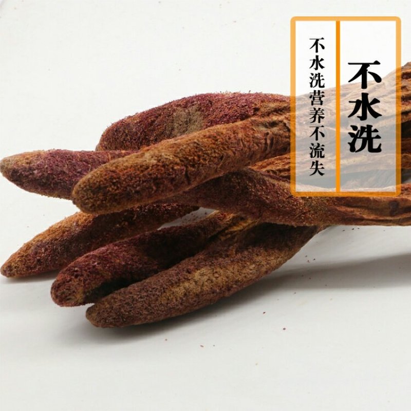 【牛商推荐】锁阳金锁阳选货整支生金锁阳可配肉苁茸