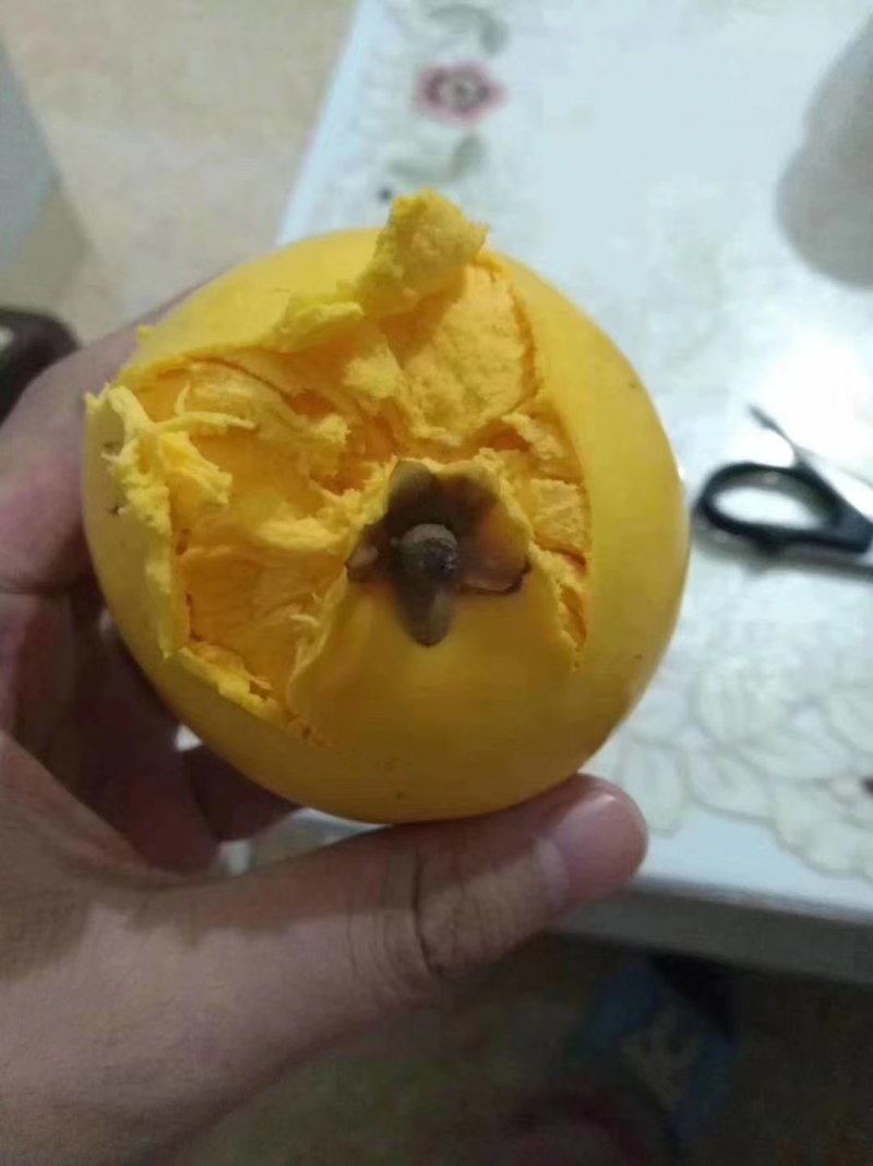 蛋黄果一件代发