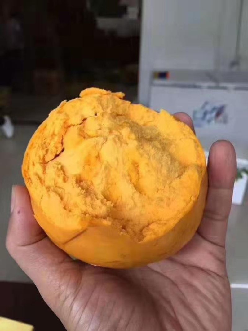 蛋黄果一件代发