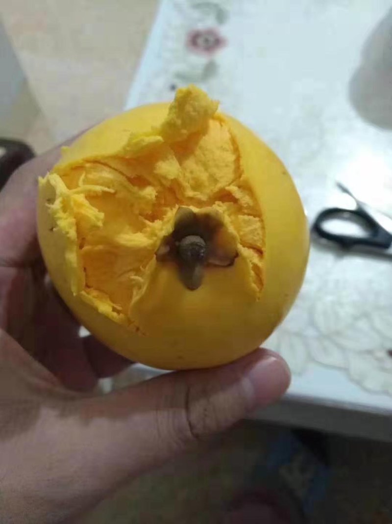 蛋黄果一件代发