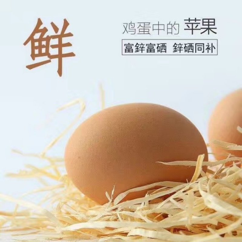 富硒鸡蛋