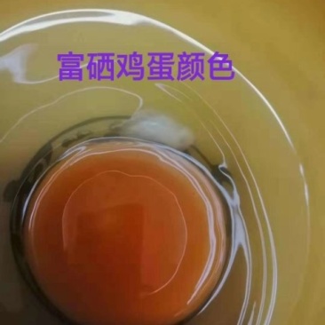 富硒鸡蛋